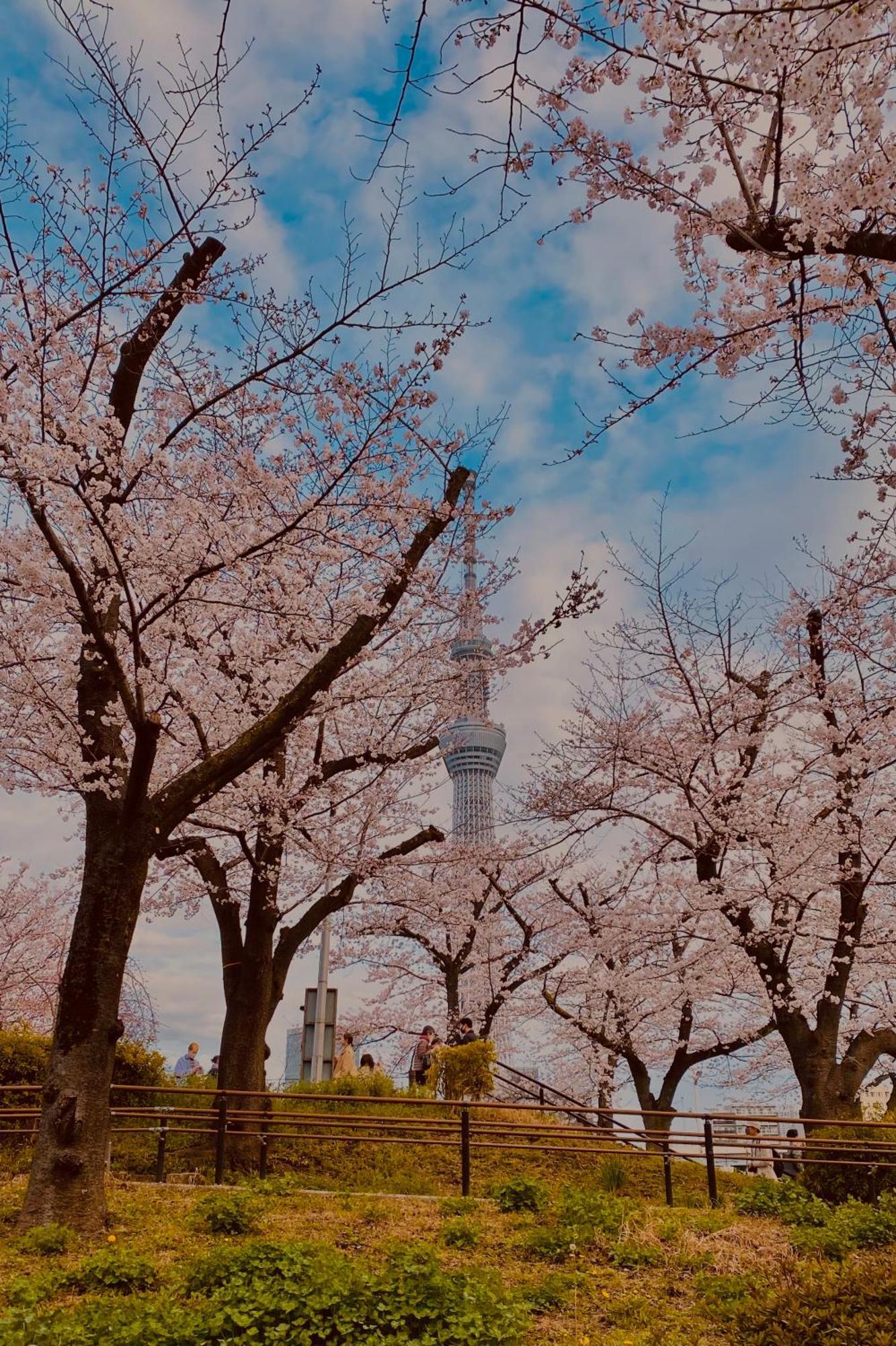 Toe Library Tokyo Asakusa Екстериор снимка